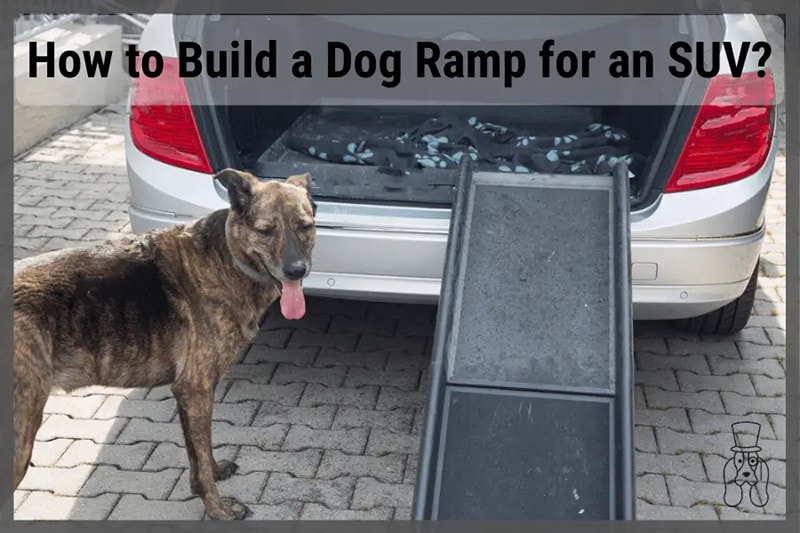 Heavy-Duty DIY Dog Ramp from SirDoggie