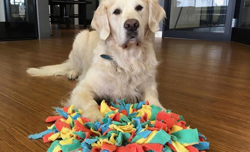Holiday Snuffle Mat