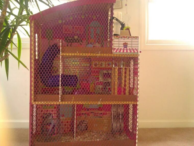 Guinea Pig And Hamster Cage photo