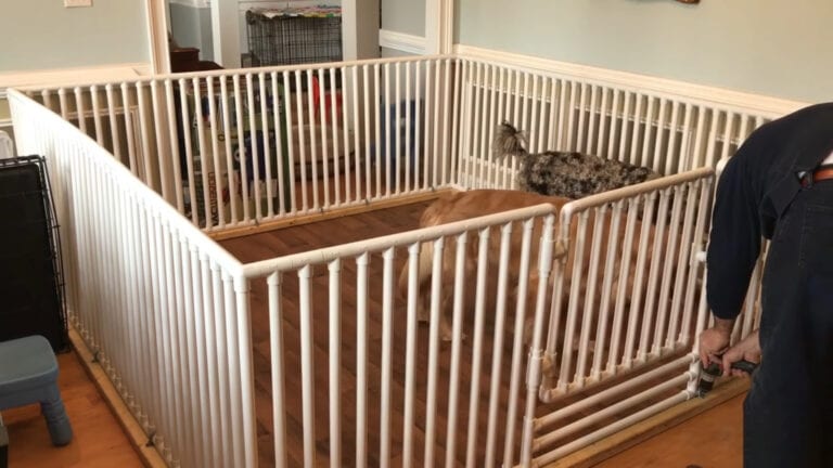 Indoor Dog Fence