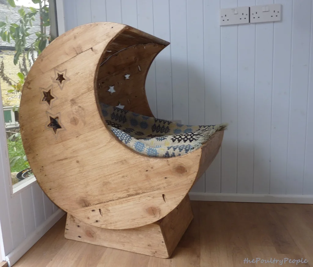 Moon crib from pallets