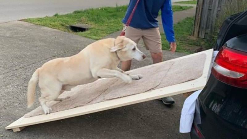 Plywood SUV Dog Ramp from Alpha Paw