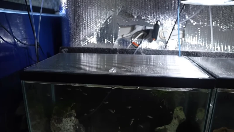 DIY Polycarbonate Fish Tank Lid