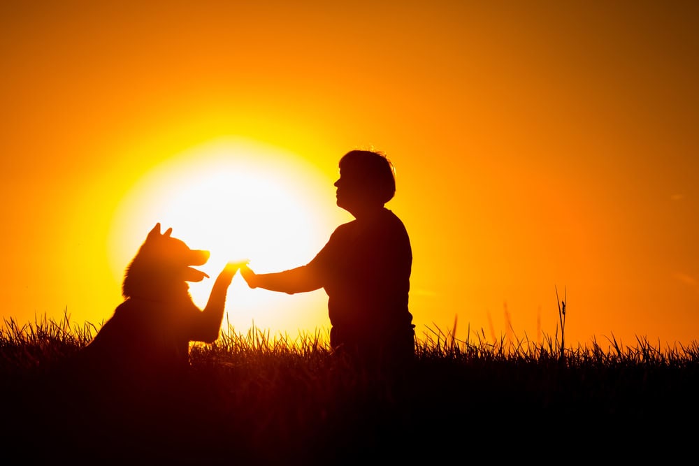 Woman enjoying sunset with her Akita Inu