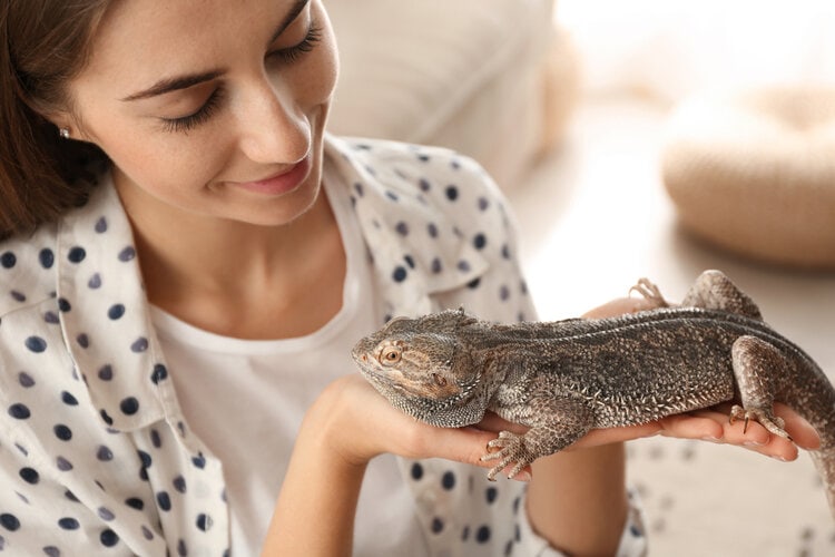 a woman holding a bearded dragon