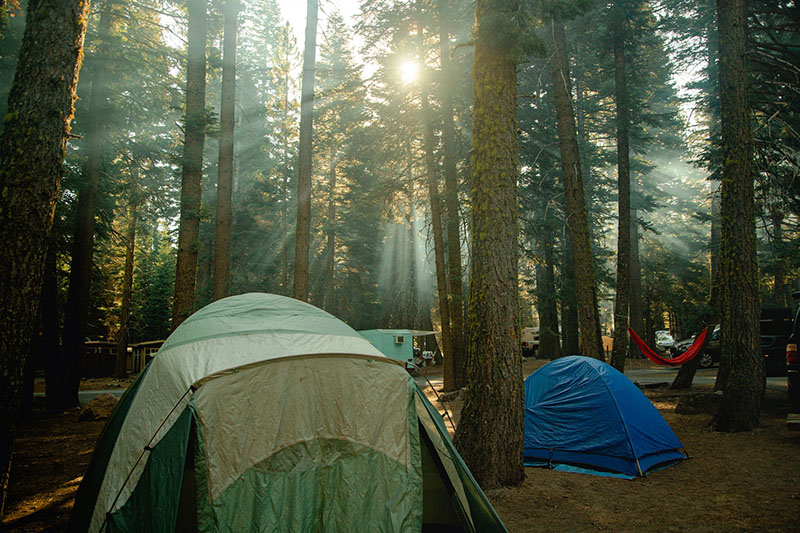 campsite in the forest