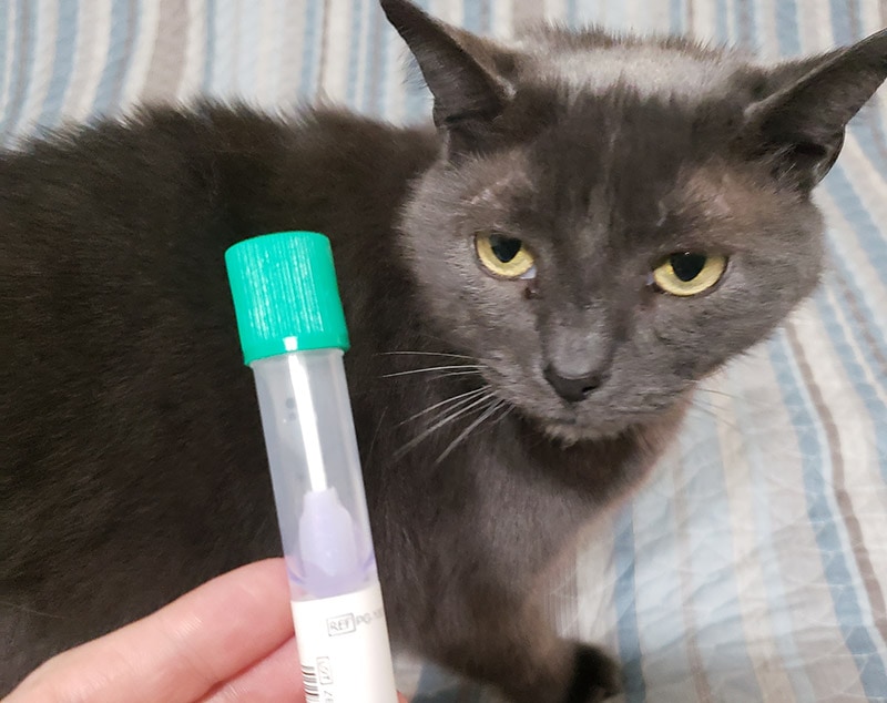 collecting dna sample on rueben