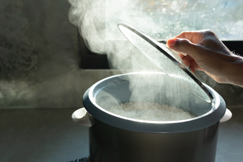 cooked rice in electric rice cooker
