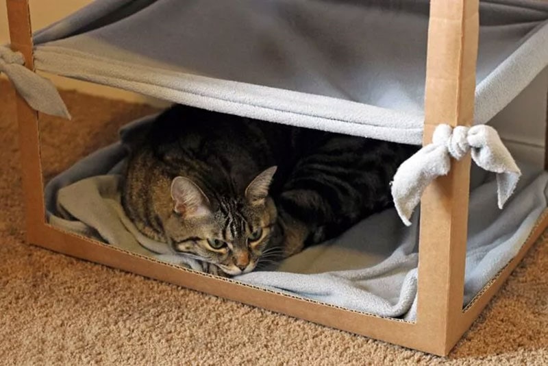 diy cat hammock