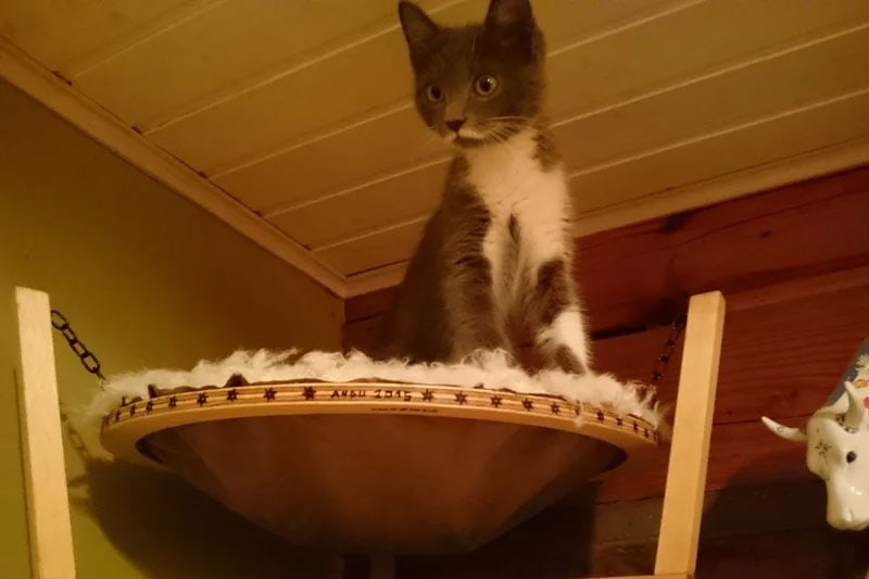 diy hammock