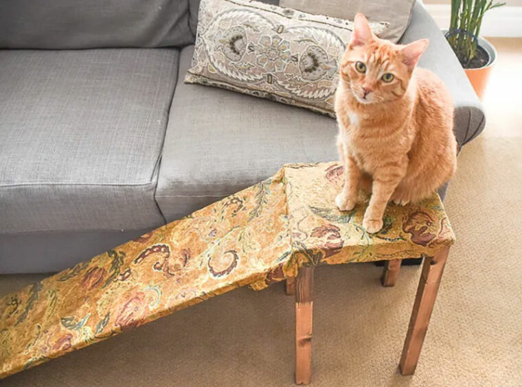 10 DIY Cat Ramp Plans You Can Make Today (With Pictures) | Hepper Pet ...