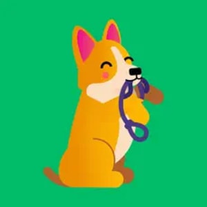 dogo app