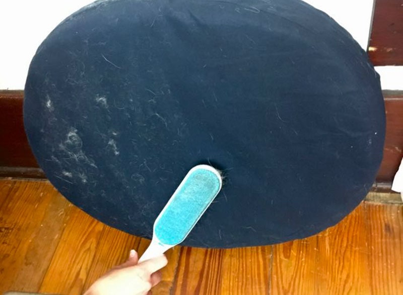 female hands cleaning the bearaby pupper pod