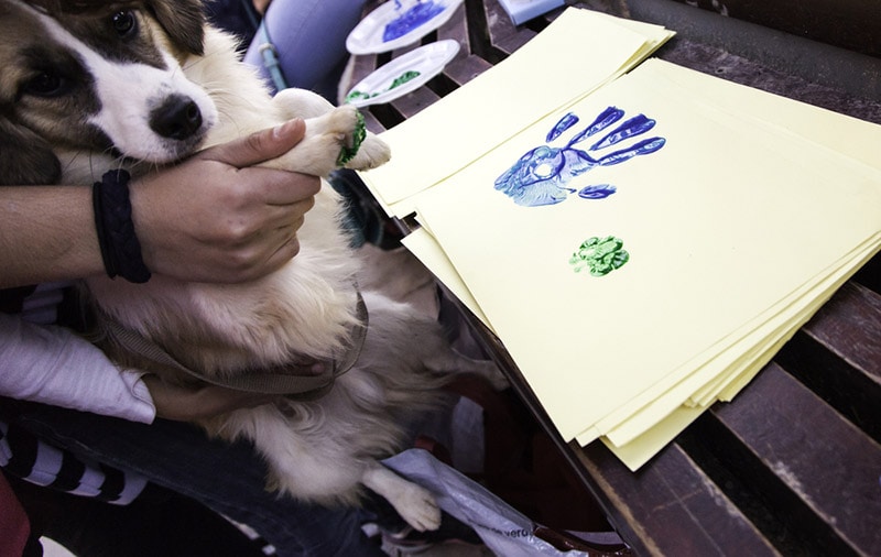 handprint and dog footprint on paper