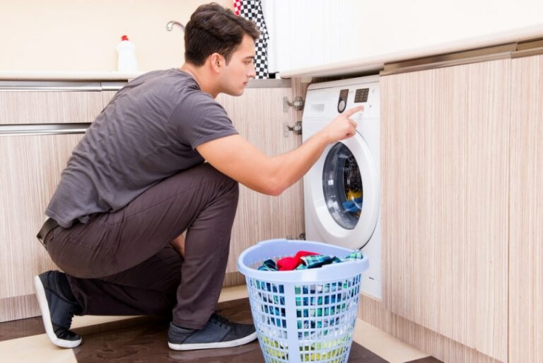 Does a Dryer Kill Fleas? Vet-Approved Facts & FAQ | Hepper Pet Resources