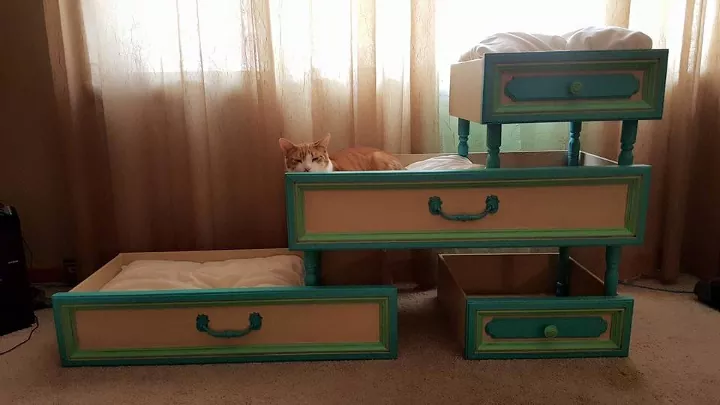 old drawer cat bed