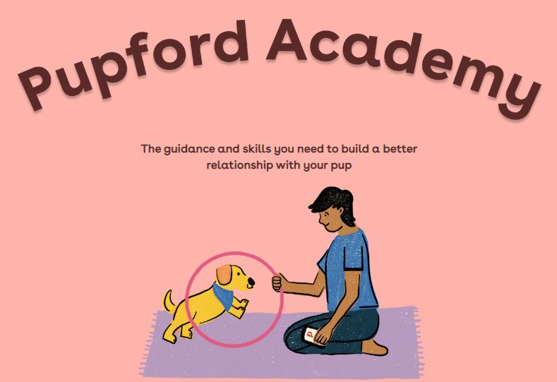 pupford academy logo