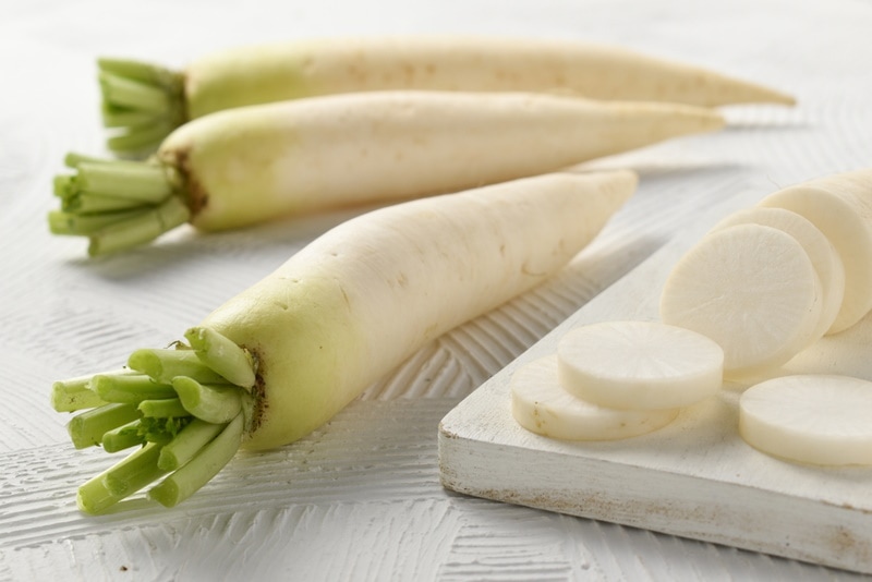 white daikon radish