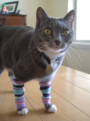 1980s Aerobics Kitty – Obsessively Stitching