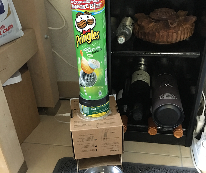 Automatic cat feeder