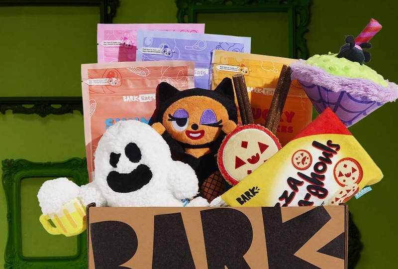Barkbox Halloween Theme