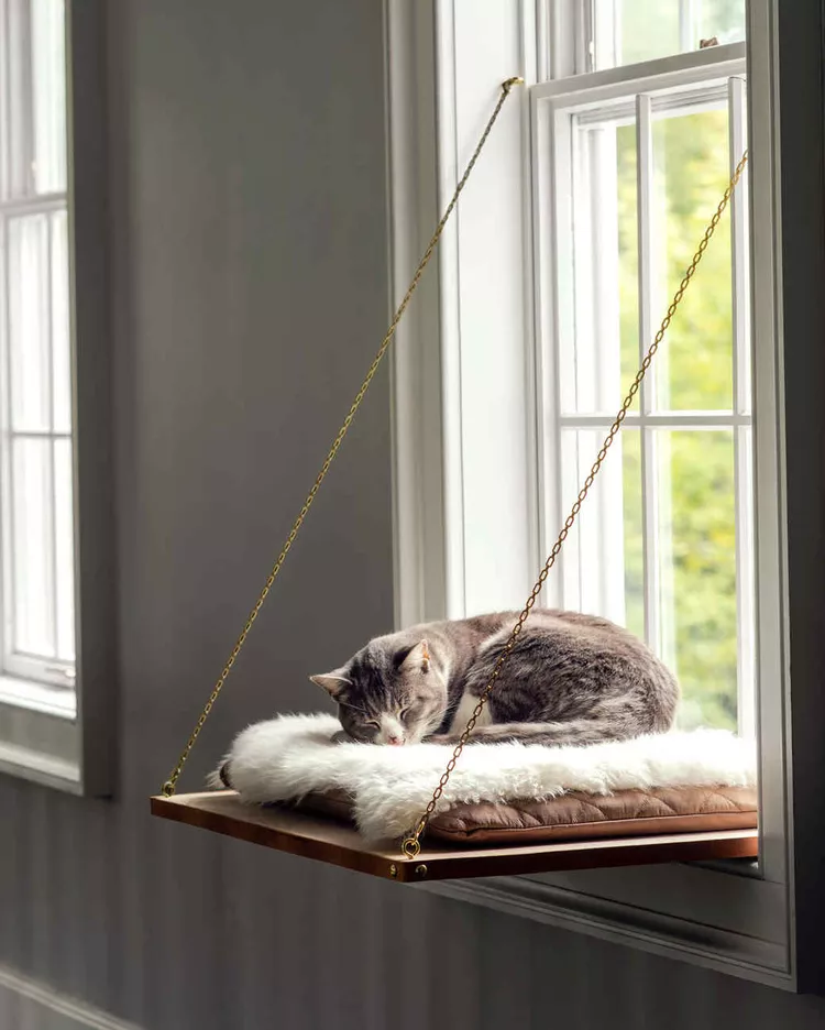 Cat Window Ledge- martha stewart