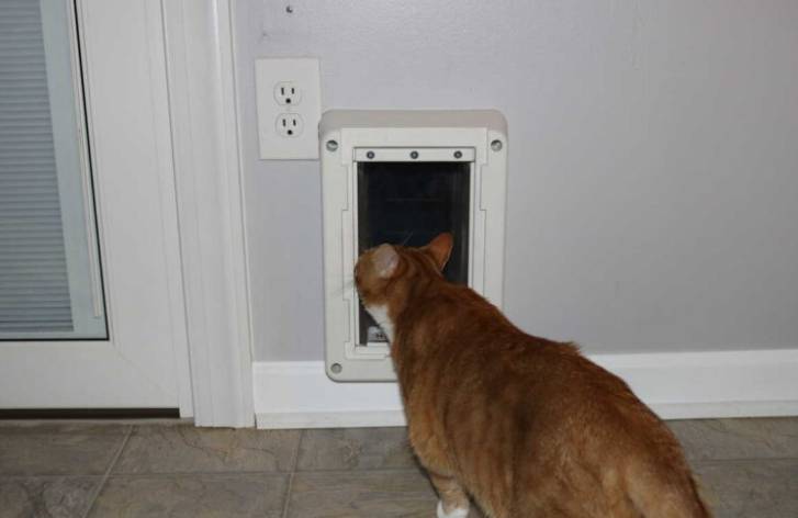DIY Cat Door in the Wall