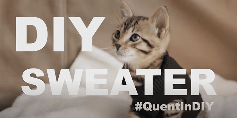 DIY - Cat Sweater