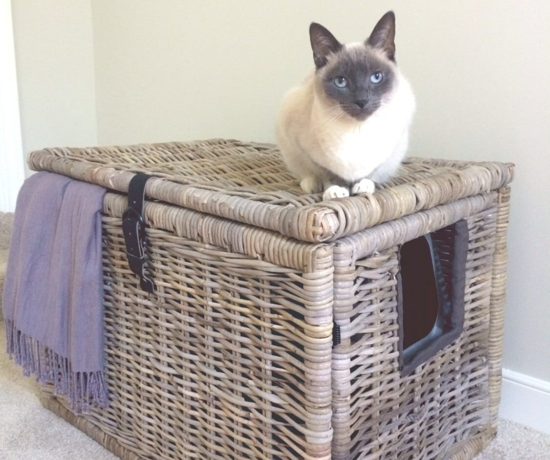 DIY Cat litter box ikea