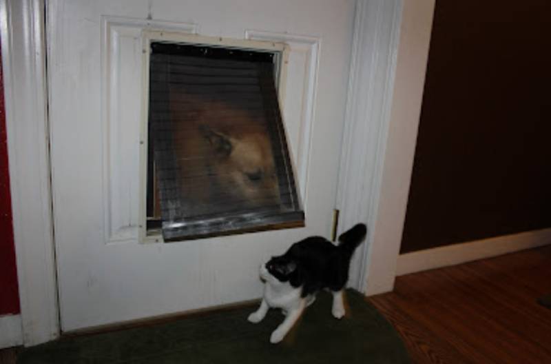 DIY Homemade magnetic dog flap nirvana
