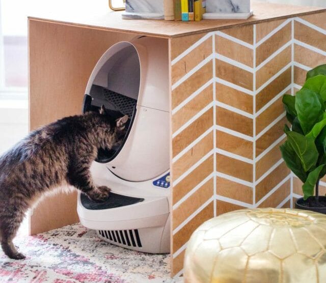 DIY Litter Robot cover