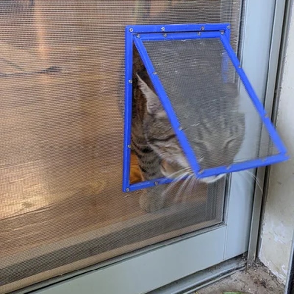 DIY cat door for window