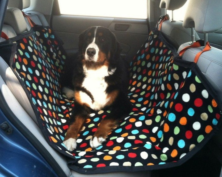 DIY dog car seat
