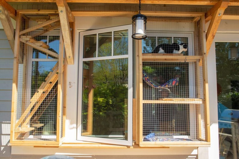DIY outdoor cat enclosure