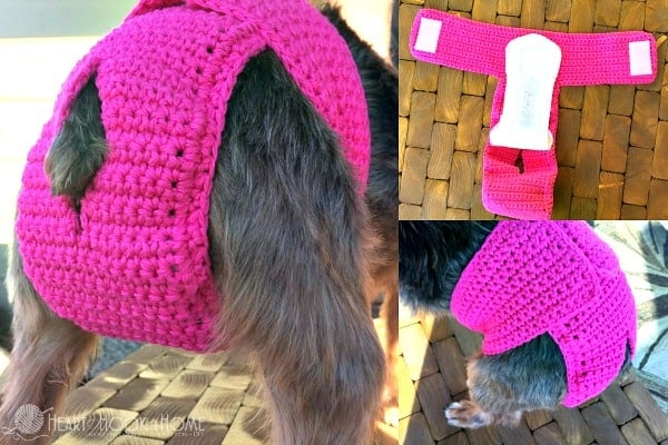 Dog Diaper for Females in Heat