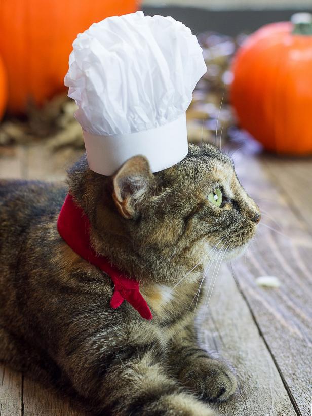 French Chef – HGTV