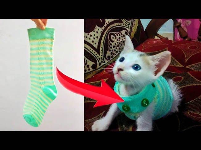 How to Make a DIY clothes from socks|Cat clothes|Art Craft by Linta