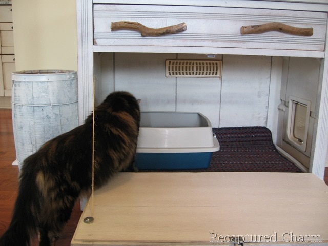 Old Cabiinet to litterbox