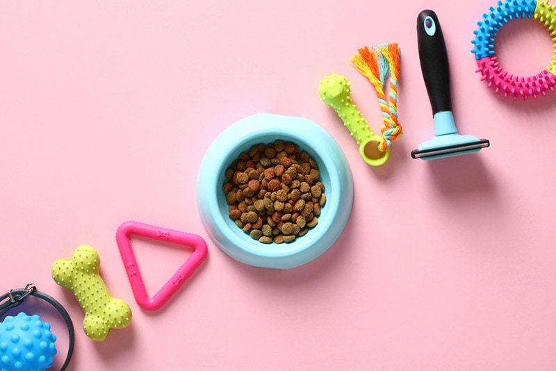 Pet care, training, grooming concept. Pet toys, accessories, bowl of feed