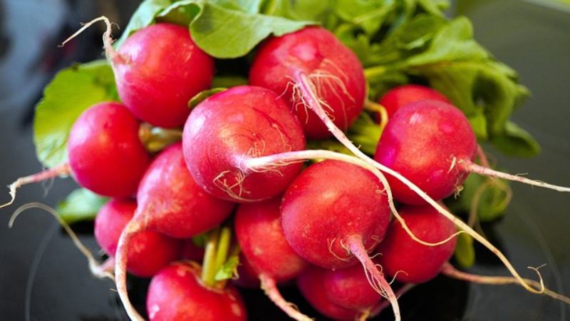 Radishes