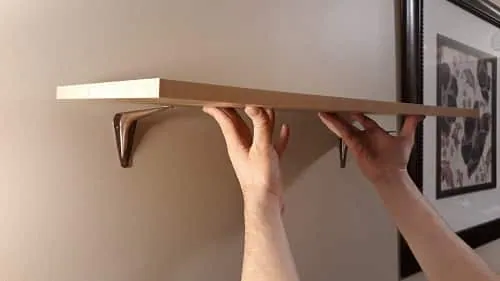 Simple Cat Shelves- hills pet