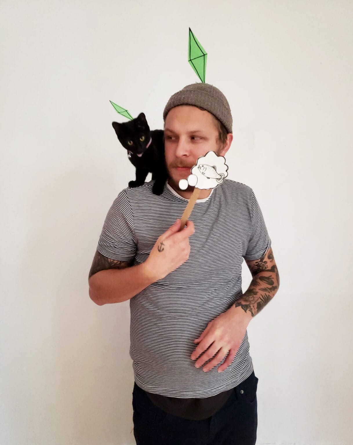 15 DIY Halloween Costumes For Cats To Make Today With Pictures 15-diy-halloween-costumes-for-cats-to-make-today-with-pictures