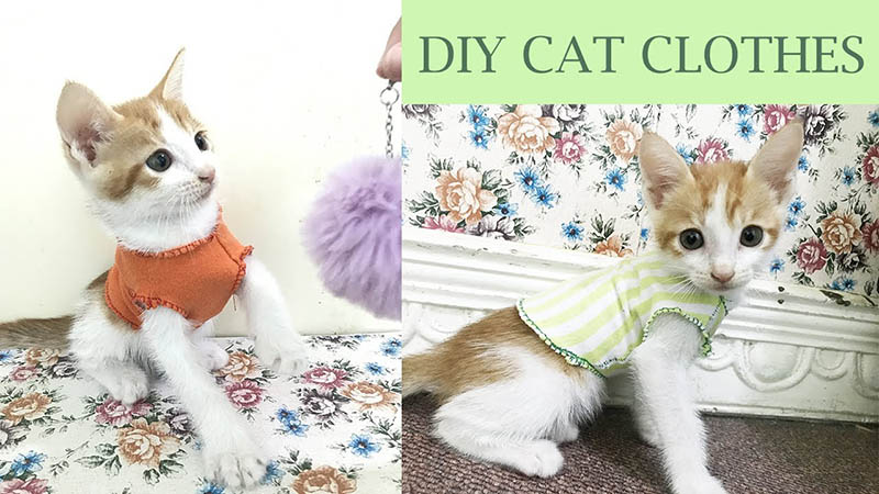 Style 12 - How to make Cat Clothes | DIY Pet:Cat Clothes | With Pattern