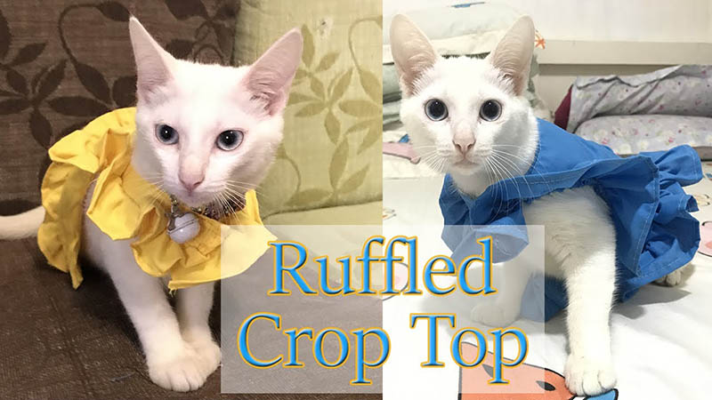 Style 25 - How to make Cat Ruffled Crop Top Clothes | DIY Pet:Cat Dress Clothes | With Pattern youtube