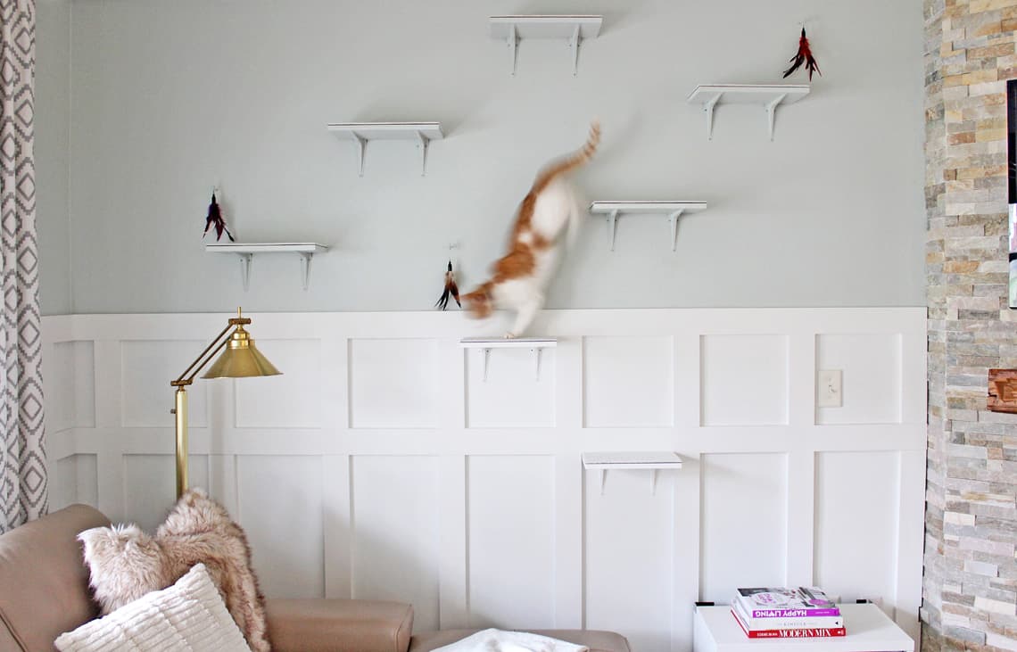Super Stylish Cat Lounge- simple stylings