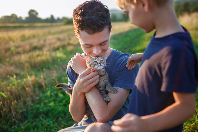 Young guy found and picked up little stripped kitten during walking in the field