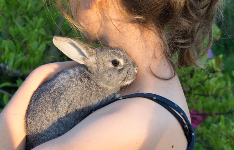 a young girl holding a chinchilla rabbit