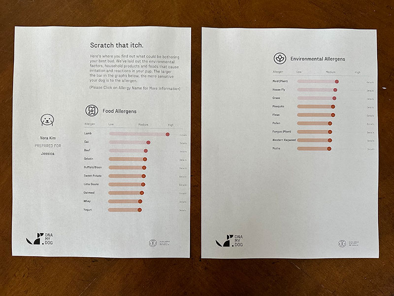 canine allergy test results from dna my dog