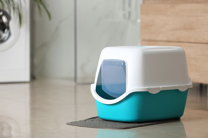 cat litter box on floor in bathroom