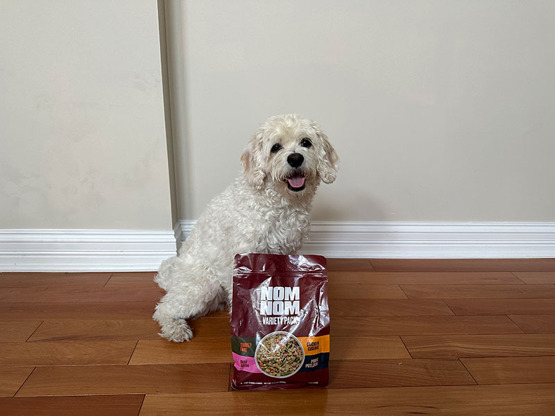 cavapoo dog sitting behind the nom nom variety pack packaging